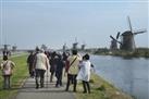 5 hour Rotterdam Kinderdijk Private Sightseeing