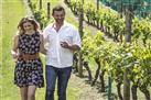 The Best of Waiheke: Ziplining, Wine Tasting and Vineyard Lunch