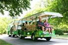 Christchurch Botanic Gardens Tour and Hop-On Hop-Off Tram with Optional Gondola and Avon River Punting