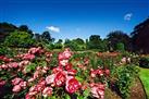 Christchurch Half-Day Gardens Tour