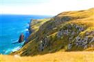 Otago Peninsula Guided Coastal Walk Including the Chasm and Lover's Leap