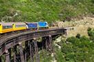 Taieri Gorge Railway and the Otago Peninsula Day Trip from Dunedin