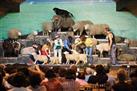 Agrodome Agricultural Show