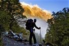 Half-Day Milford Track Guided Walk