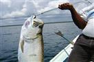 Fishing Tours