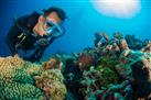 Niugini Diving Adventures