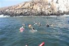 Palomino Islands Tour Plus Swimming with Sea Lions Experience