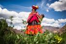 Lake Titicaca Full-Day Tour from Puno with Lunch
