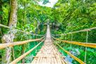 Bamboo Hanging Bridge