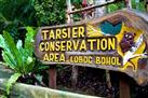 Tarsier Conservation Area