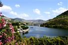 Douro Valley Small-Group Tour with Wine Tasting