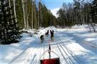 Baikal Dog Sledding Centre