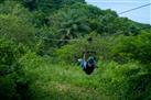 Zipline Canopy Tour