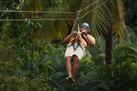 Aerial Tram and Zipline Canopy