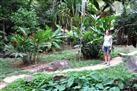 Seychelles National Botanical Gardens