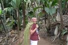 Vallee de Mai Nature Reserve