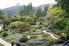 Kirstenbosch Botanical gardens