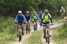 Knysna & Featherbed Nature Reserve 3-Hour Cycling Tour