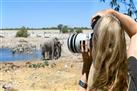 Big Five Afternoon Game Drive in Kruger National Park