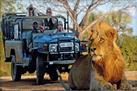 Full-Day Kruger Park Open Vehicle Safari