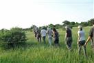 Private Morning Safari in Kruger Park