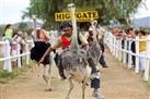 Highgate Ostrich Show Farm