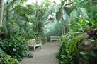 tropical gardens
