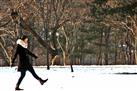 Winter Sonata TV Tour on Nami Island from Seoul