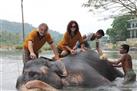 Pinnawala Elephant Orphanage