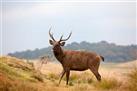 Horton Plains National Park