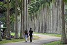 Peradeniya Royal Botanical Gardens