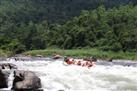 Rafters Retreat   Kithulgala