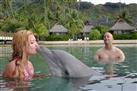 Dolphin Encounter