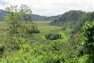 Ngurdoto Crater