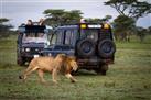 Tarangire National Park: Guided Day Tour from Arusha