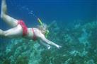 Scuba Diving and Snorkeling