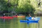 Sea Cave Kayaking Adventure