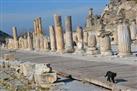 Privado Efeso