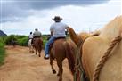 Horseback Riding