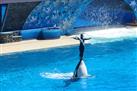 SeaWorld San Diego