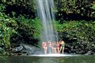 Hana Rain Forest Hike