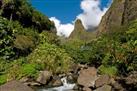 Iao Valley & Lahaina City Tour