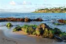 Napili Beach