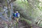 Hiking to kalaupapa