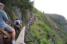 Kalaupapa Mule Ride