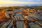 Cadillac Mountain