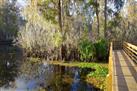 Lettuce Lake Park