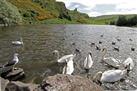 Holyrood Park