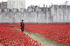 The Tower of London