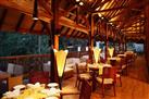 The Tamara Coorg